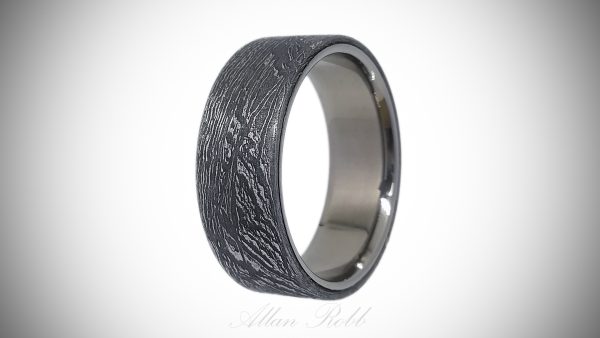 Meteorite ring with Titanium sleeve